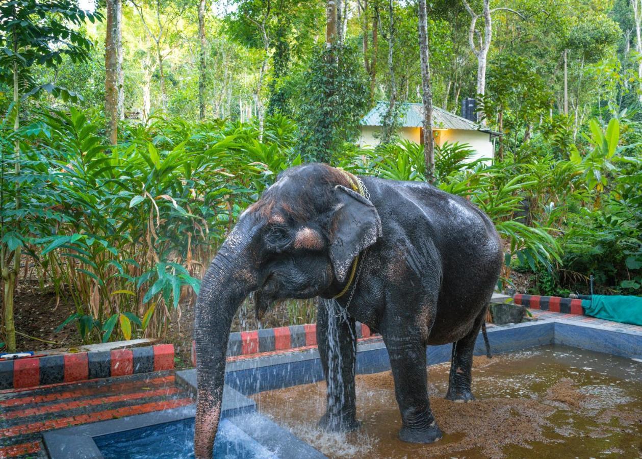 Amritara Shalimar Spice Garden Resort & Spa Thekkady Eksteriør bilde