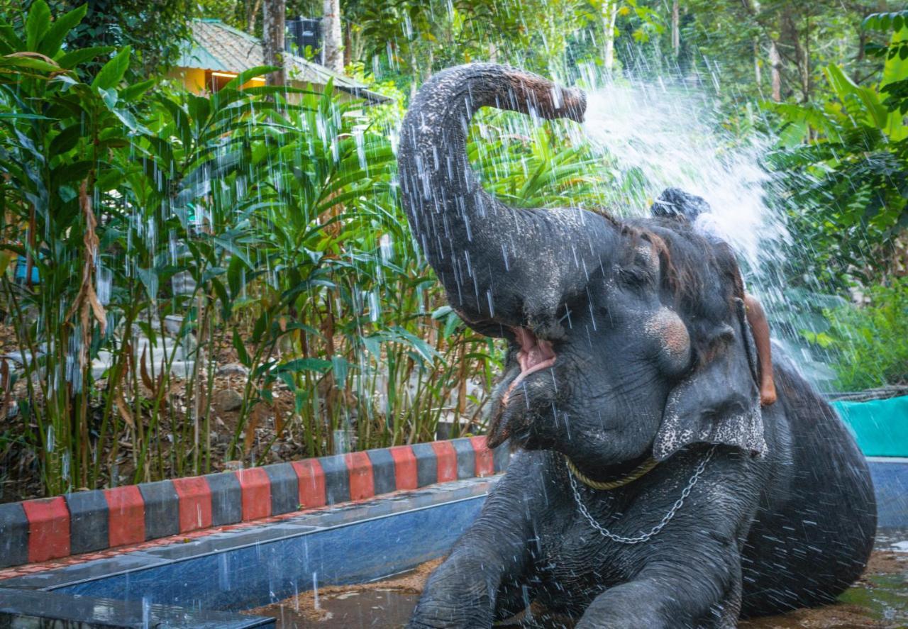 Amritara Shalimar Spice Garden Resort & Spa Thekkady Eksteriør bilde